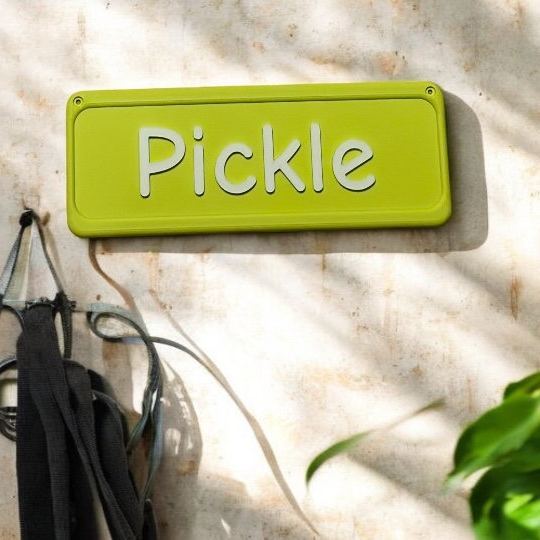 Personalized 3D Printed Pet Name Plate for Crate | BKPet350