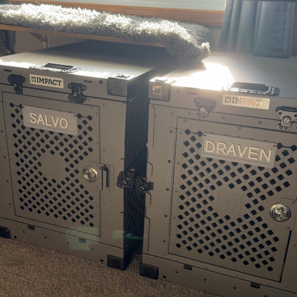 Personalized 3D Printed Pet Name Plate for Crate | BKPet350