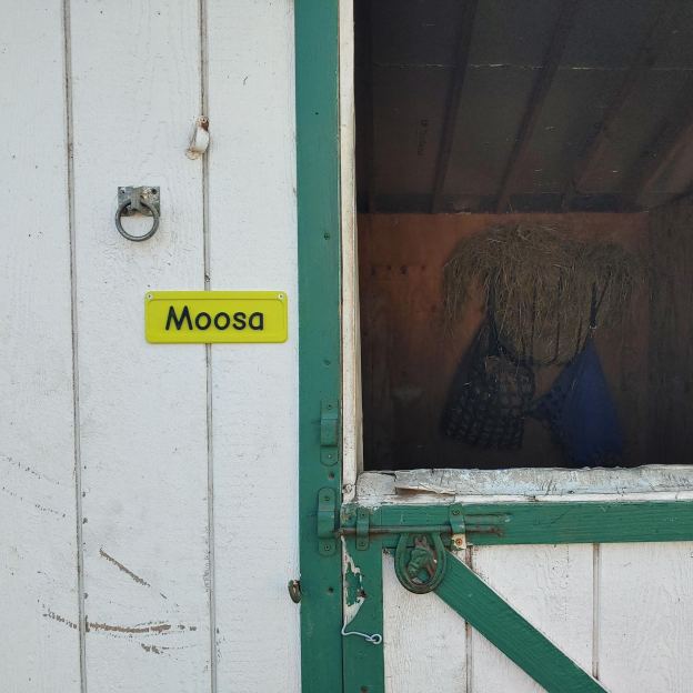 Personalized 3D Printed Pet Name Plate for Crate | BKPet350