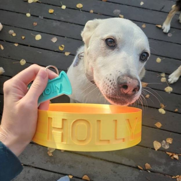 Personalized 3D Printed Name Engraved Pet Bowl | BKPet353