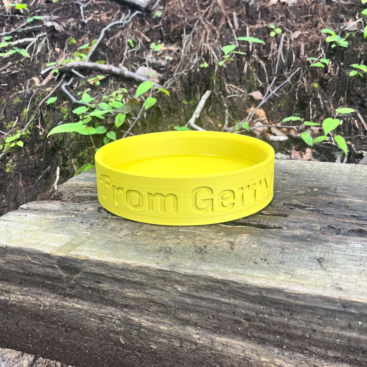 Personalized 3D Printed Name Engraved Pet Bowl | BKPet353