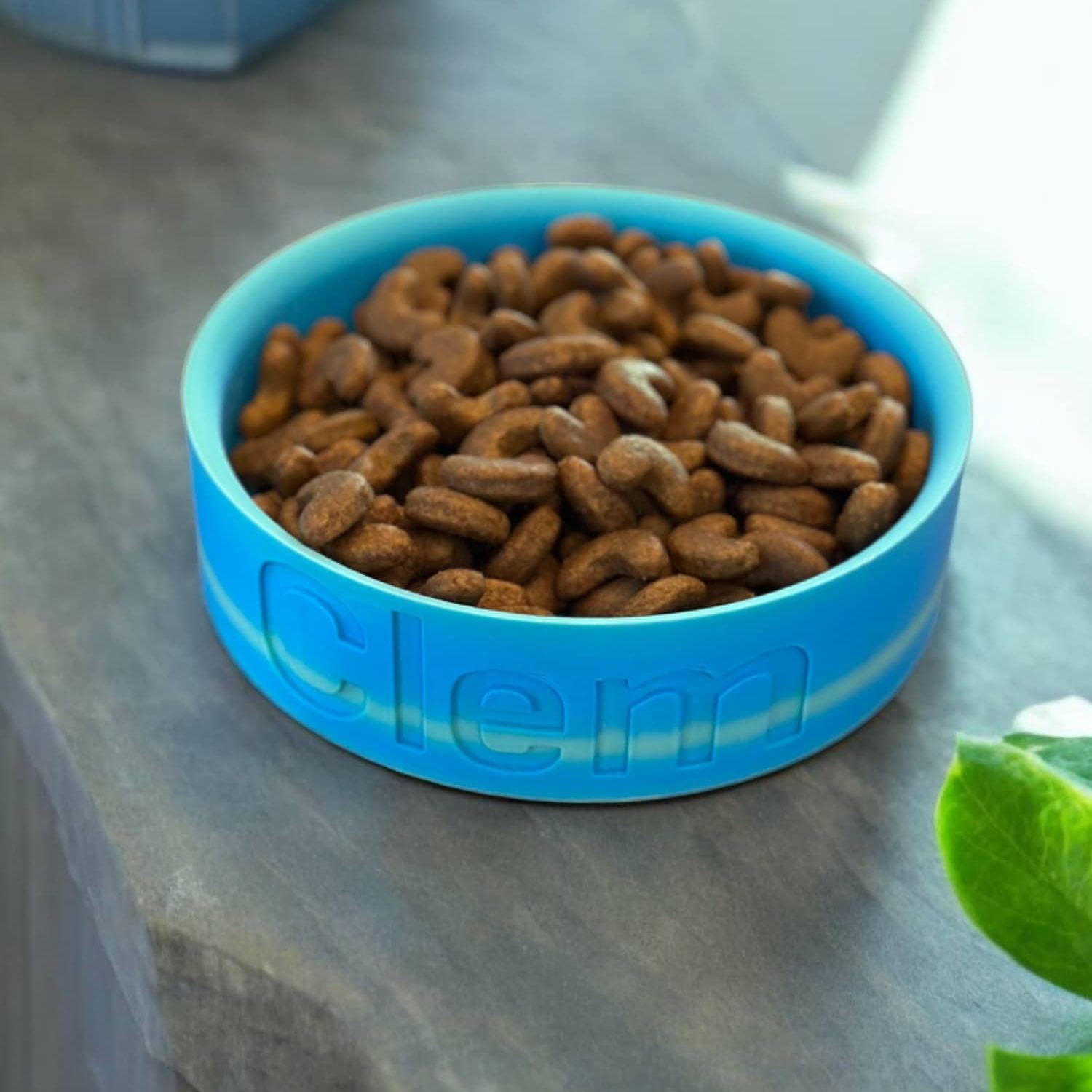 Personalized 3D Printed Name Engraved Pet Bowl | BKPet353
