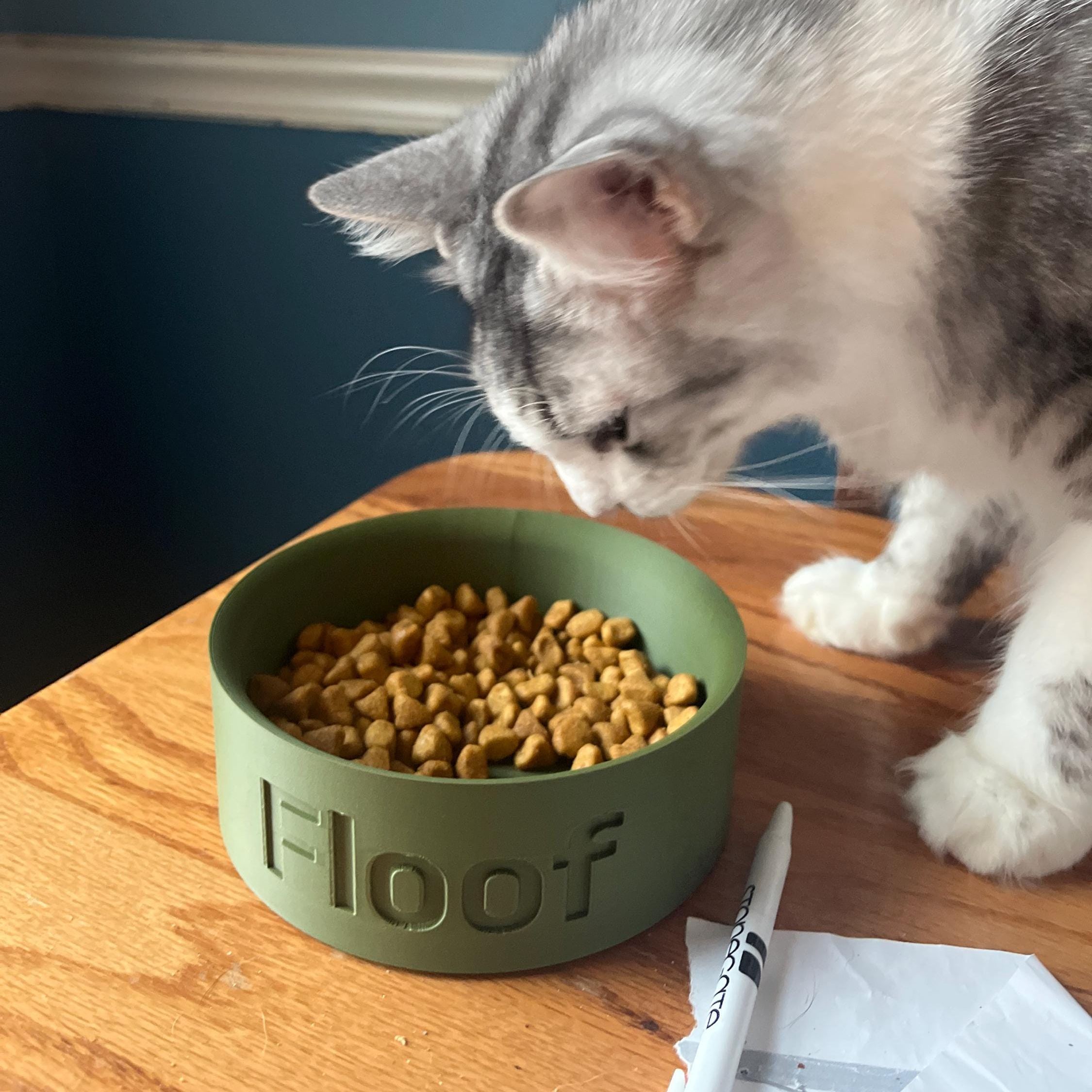 Personalized 3D Printed Name Engraved Pet Bowl | BKPet353