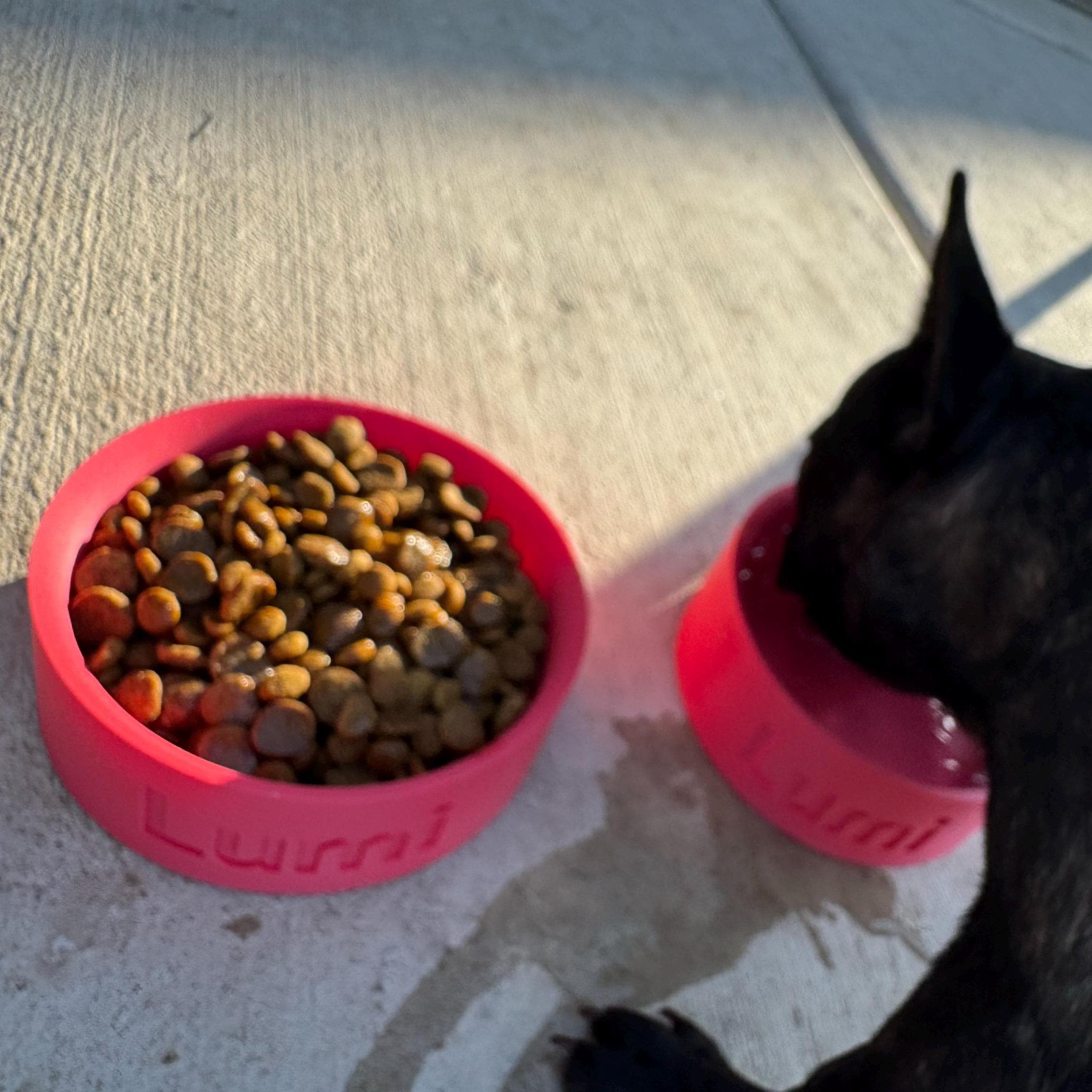 Personalized 3D Printed Name Engraved Pet Bowl | BKPet353