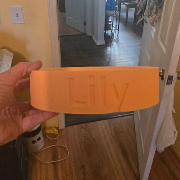 Personalized 3D Printed Name Engraved Pet Bowl | BKPet353
