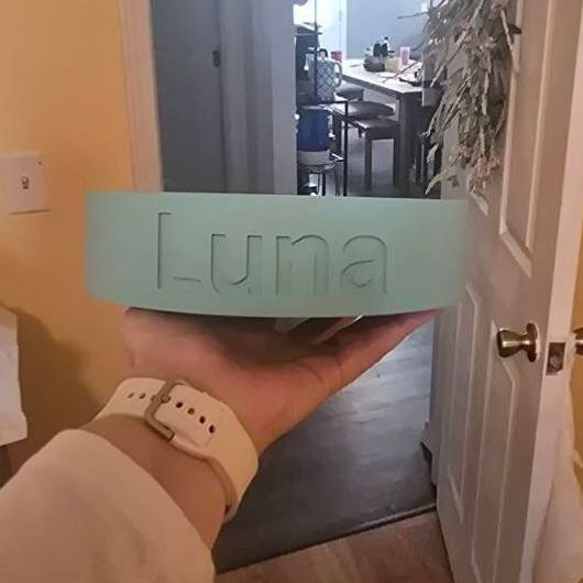 Personalized 3D Printed Name Engraved Pet Bowl | BKPet353