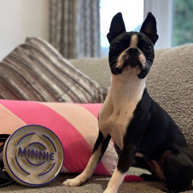 Personalized 3D Printed Dog Slow Feeder Bowl | BKPet354