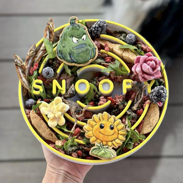 Personalized 3D Printed Dog Slow Feeder Bowl | BKPet354