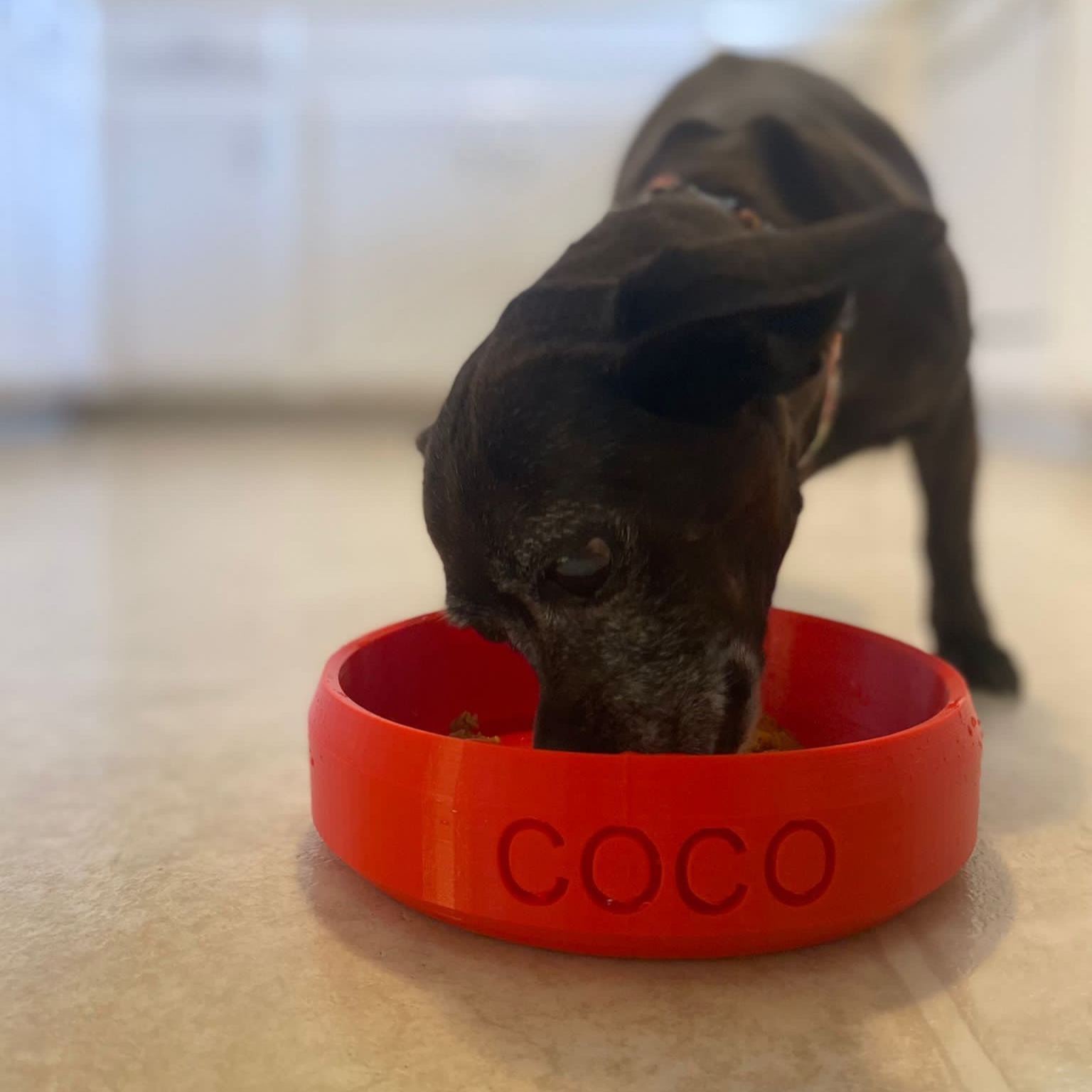 Personalized 3D Printed Dog Bowl With Name | BKPet358