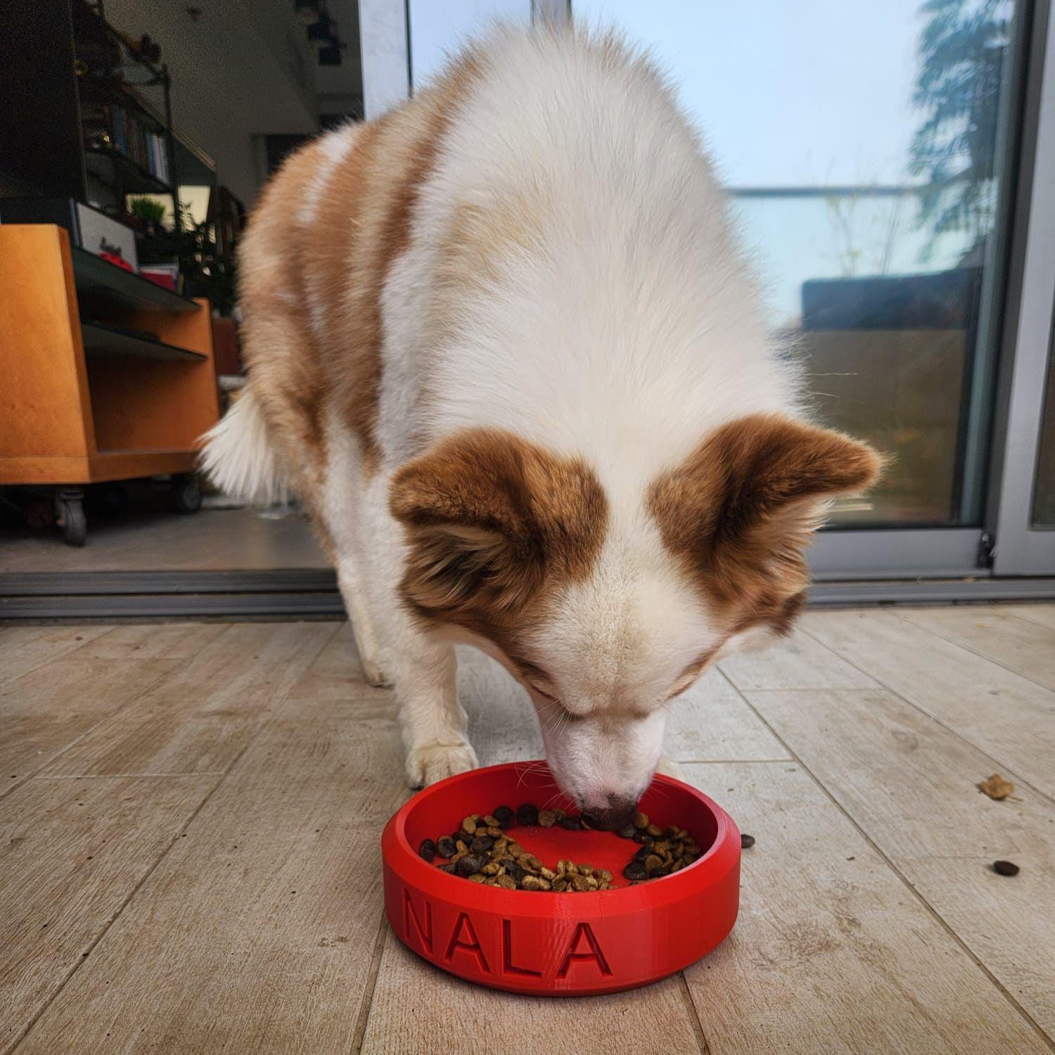 Personalized 3D Printed Dog Bowl With Name | BKPet358