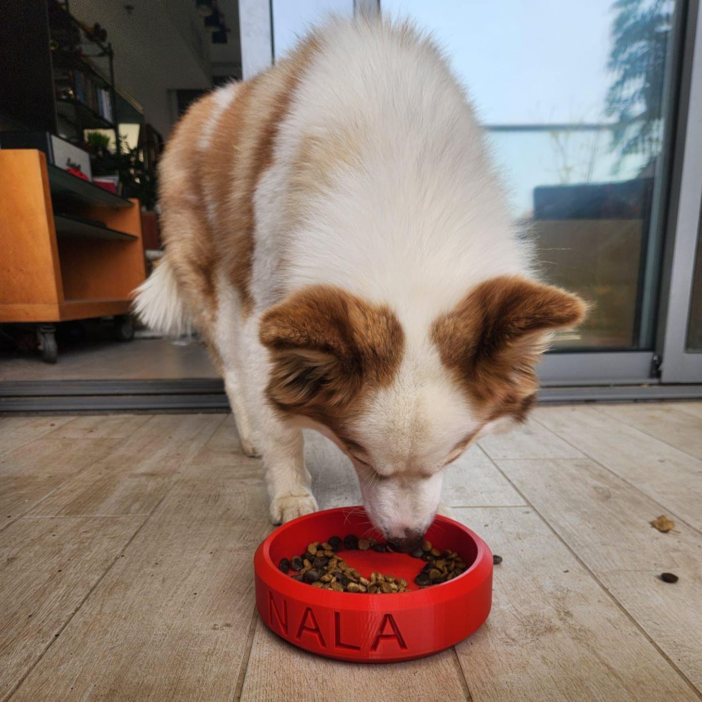Personalized 3D Printed Dog Bowl With Name | BKPet358