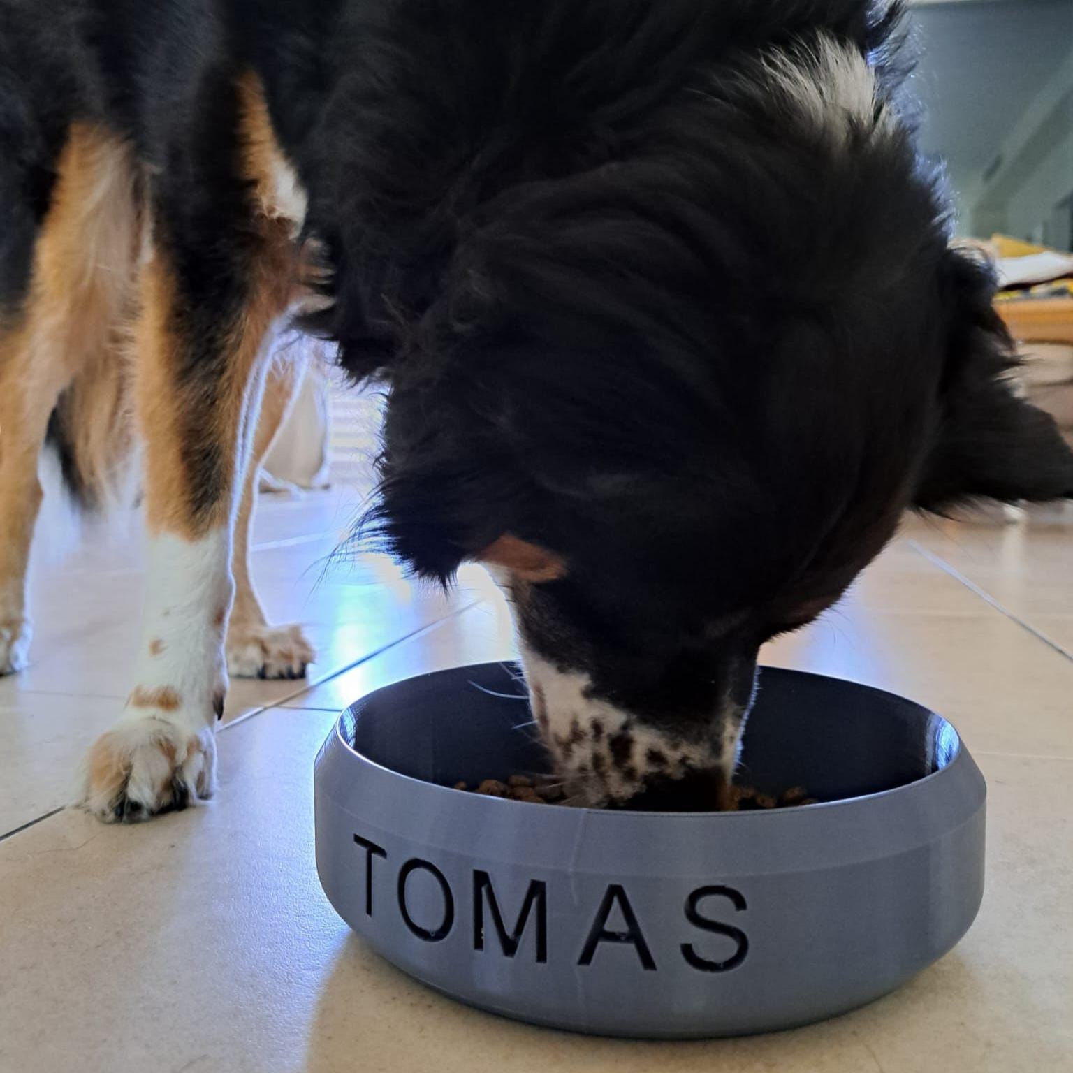 Personalized 3D Printed Dog Bowl With Name | BKPet358