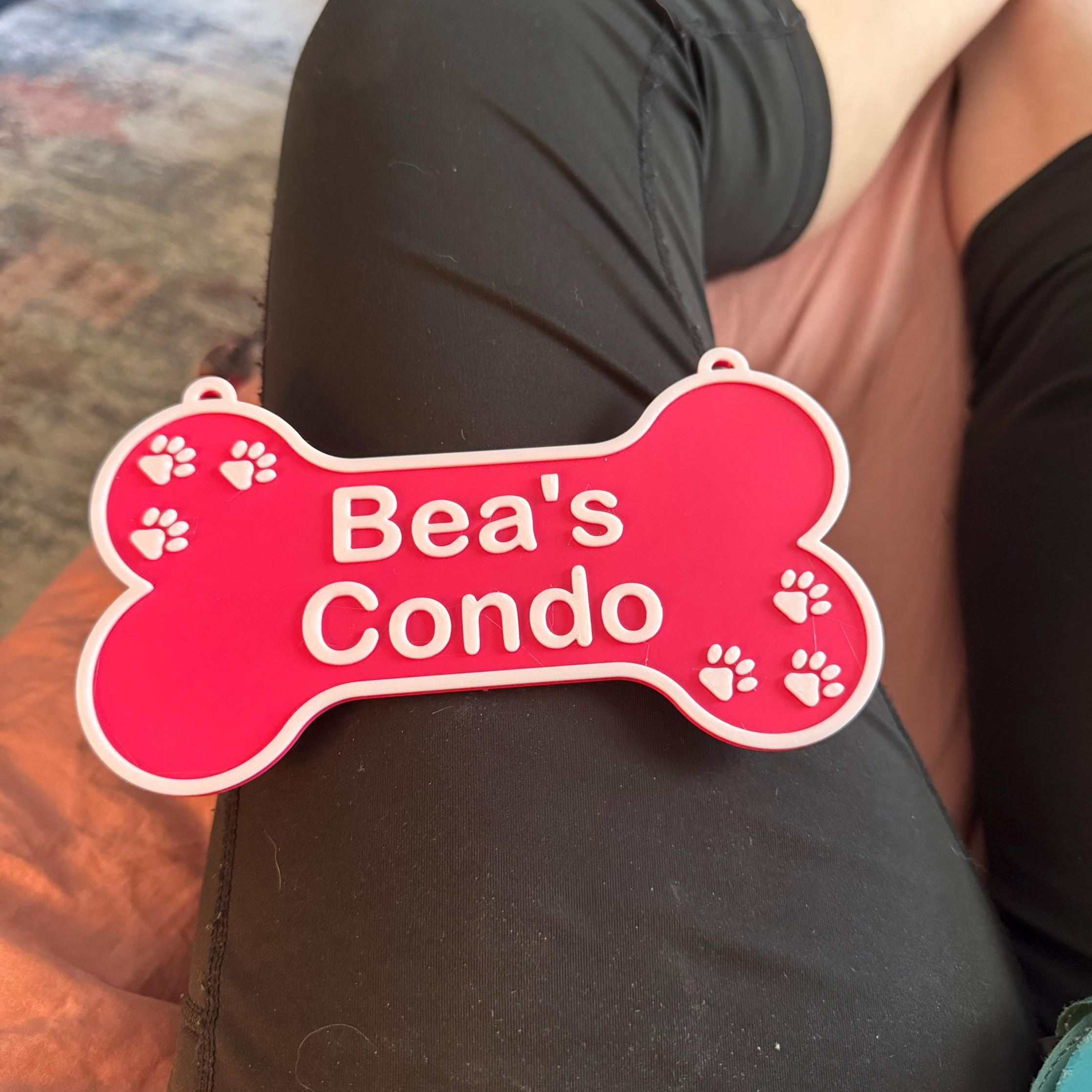 Personalized 3D Printed Dog Name Crate Sign | BKPet359