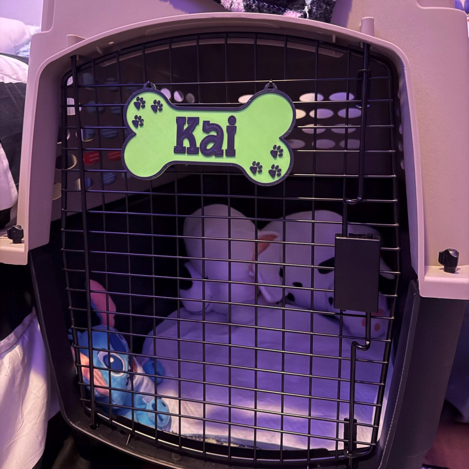 Personalized 3D Printed Dog Name Crate Sign | BKPet359
