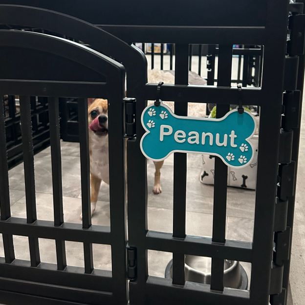 Personalized 3D Printed Dog Name Crate Sign | BKPet359