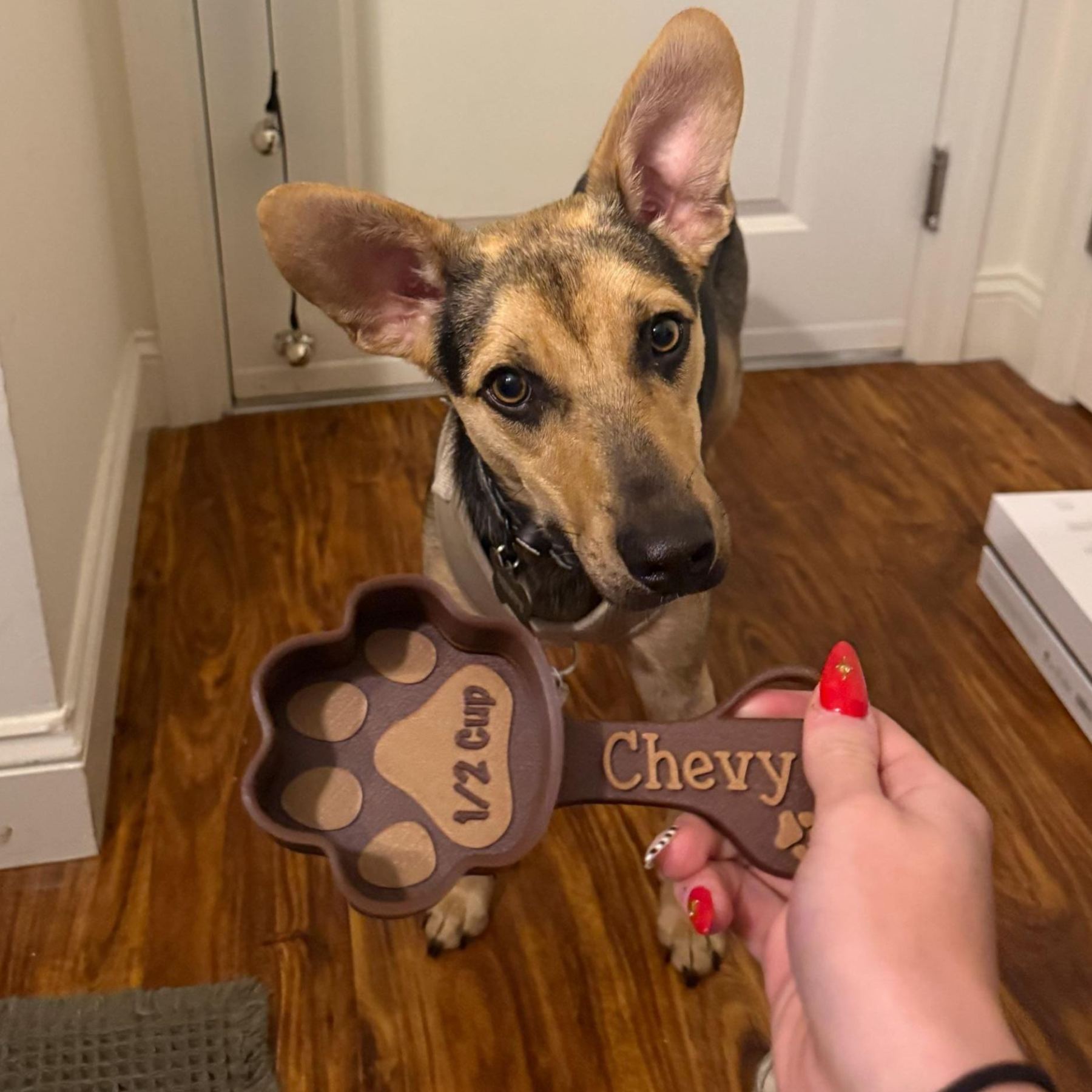 Personalized 3D Printed Paw Shaped Dog Food Scoop | BKPet369