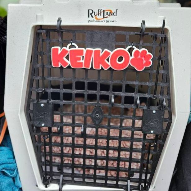 Personalized 3D Printed Dog Name Crate Sign | BKPet372