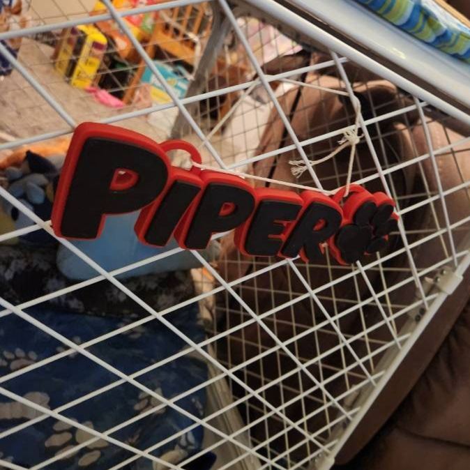 Personalized 3D Printed Dog Name Crate Sign | BKPet372