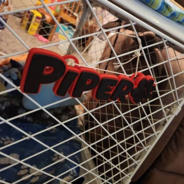 Personalized 3D Printed Dog Name Crate Sign | BKPet372