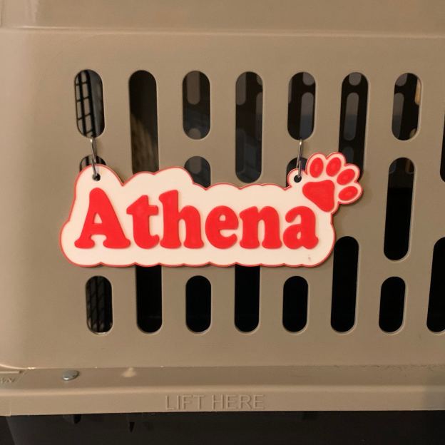 Personalized 3D Printed Dog Name Crate Sign | BKPet373