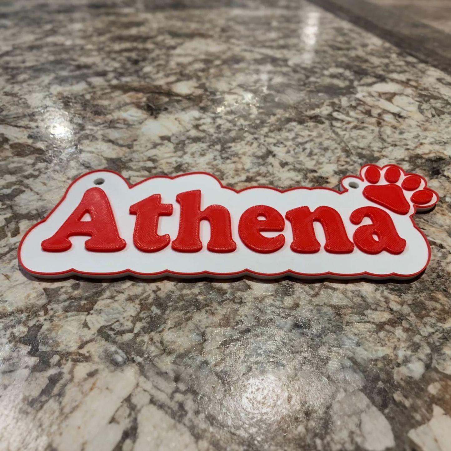 Personalized 3D Printed Dog Name Crate Sign | BKPet373