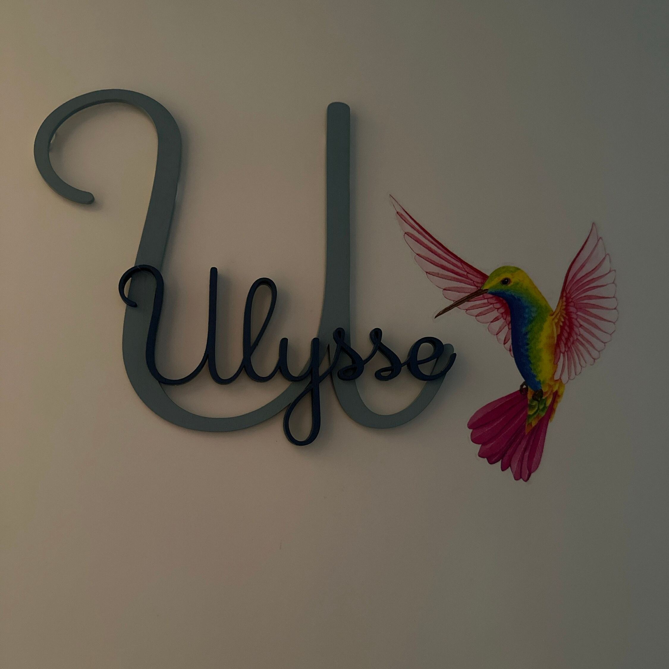 Personalized Monogram Bedroom Door Decoration Name Sign | CWBaby388