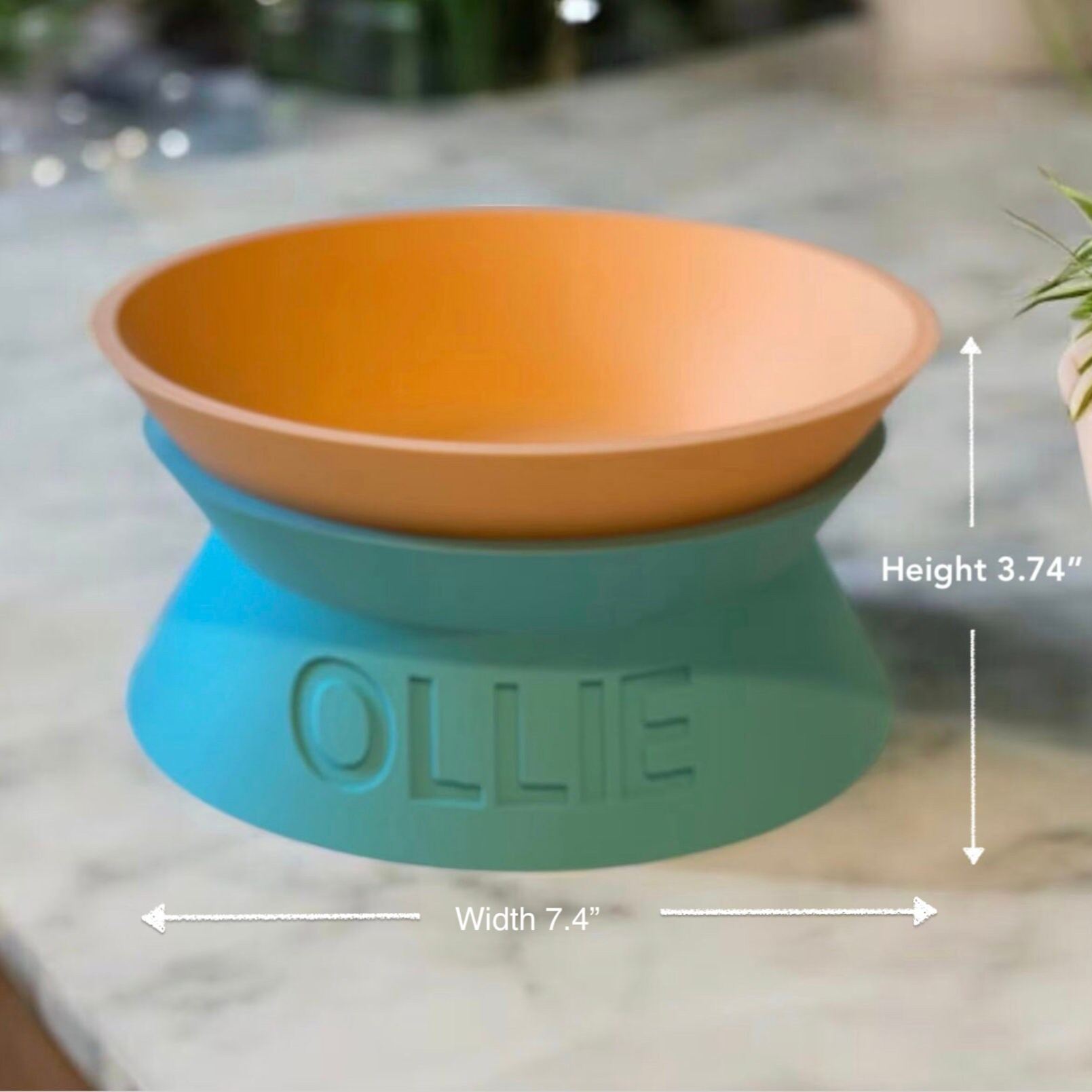 Personalized Detachable Engraved Elevated Pet Bowl | BKPet375