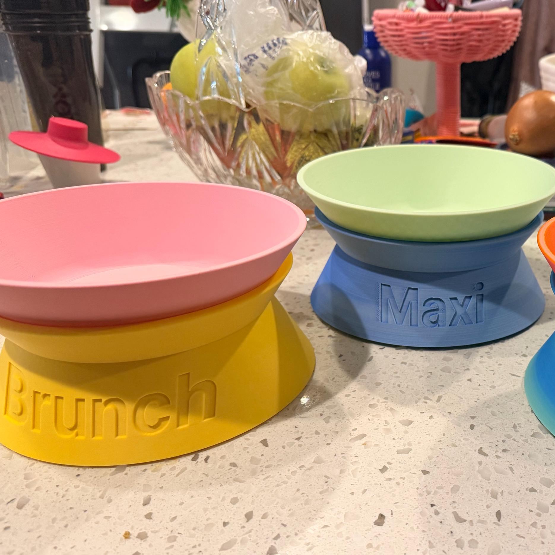 Personalized Detachable Engraved Elevated Pet Bowl | BKPet375