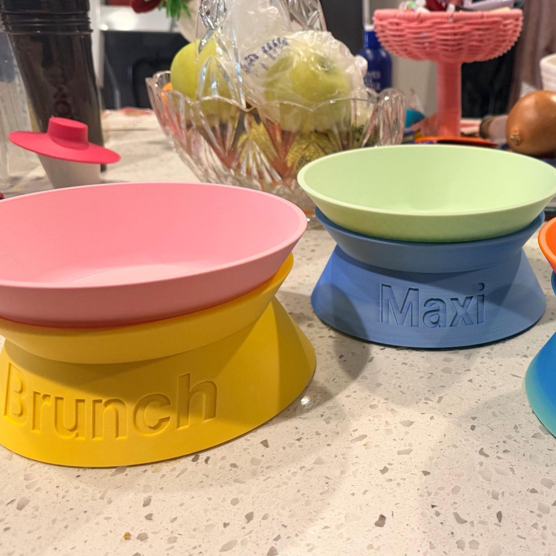 Personalized Detachable Engraved Elevated Pet Bowl | BKPet375