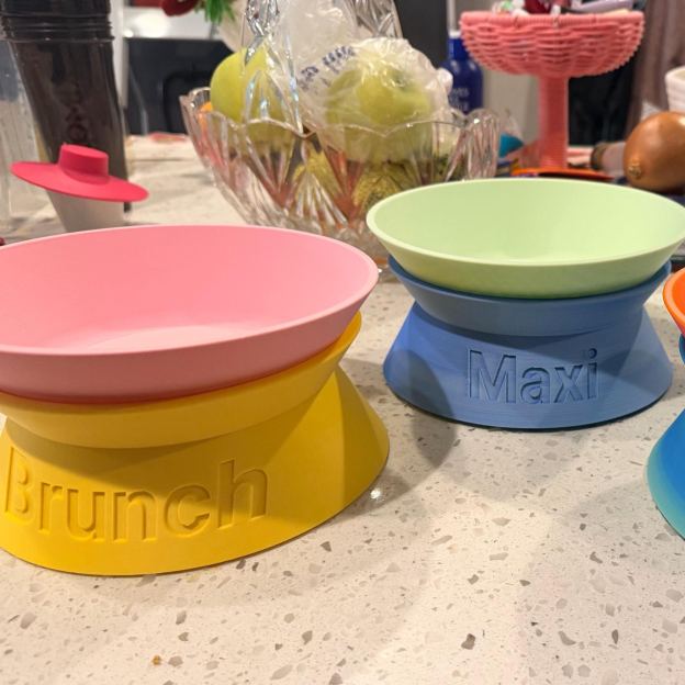 Personalized Detachable Engraved Elevated Pet Bowl | BKPet375