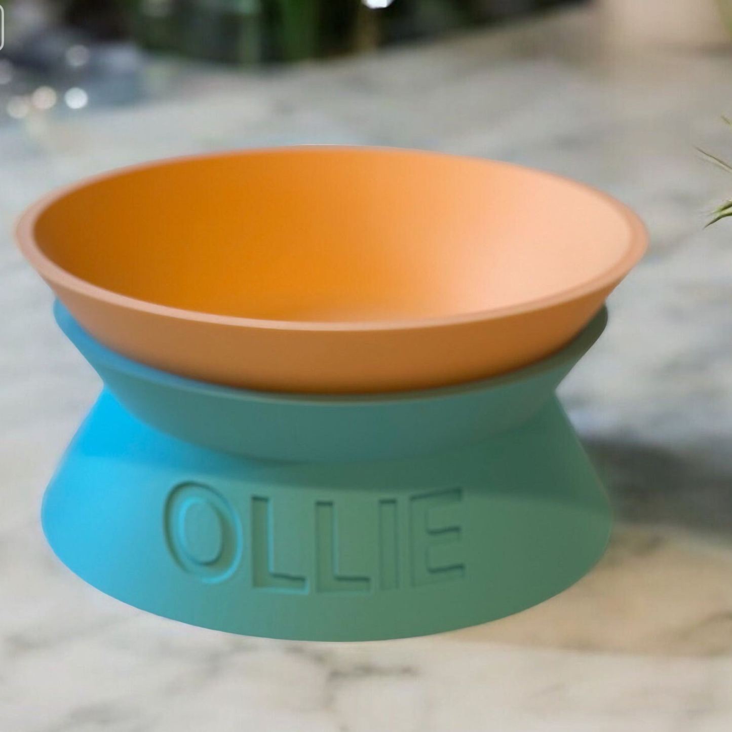 Personalized Detachable Engraved Elevated Pet Bowl | BKPet375