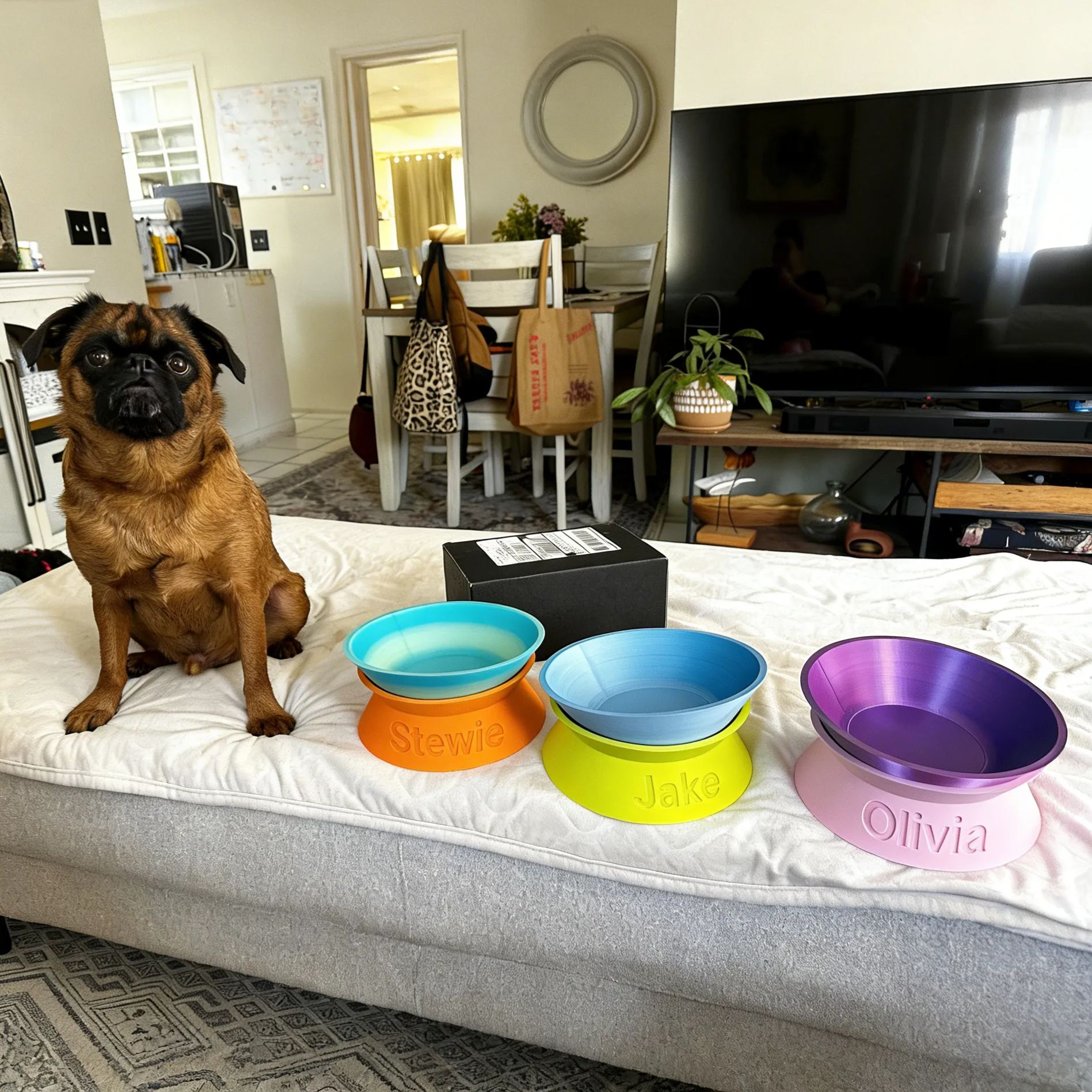 Personalized Detachable Engraved Elevated Pet Bowl | BKPet375