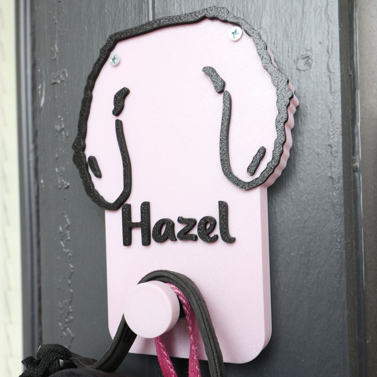 Personalized Leash & Collar Hanger Dog Leash Hanger for Wall | BKPet402