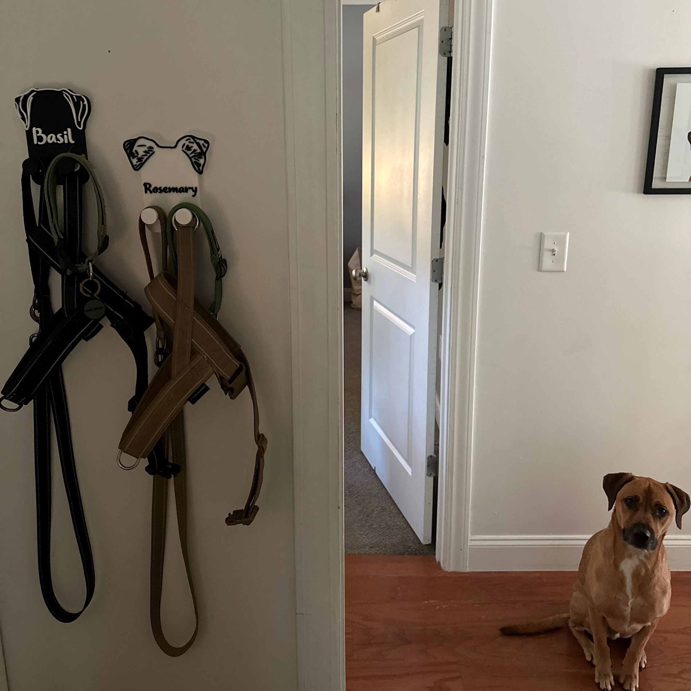 Personalized Leash & Collar Hanger Dog Leash Hanger for Wall | BKPet402