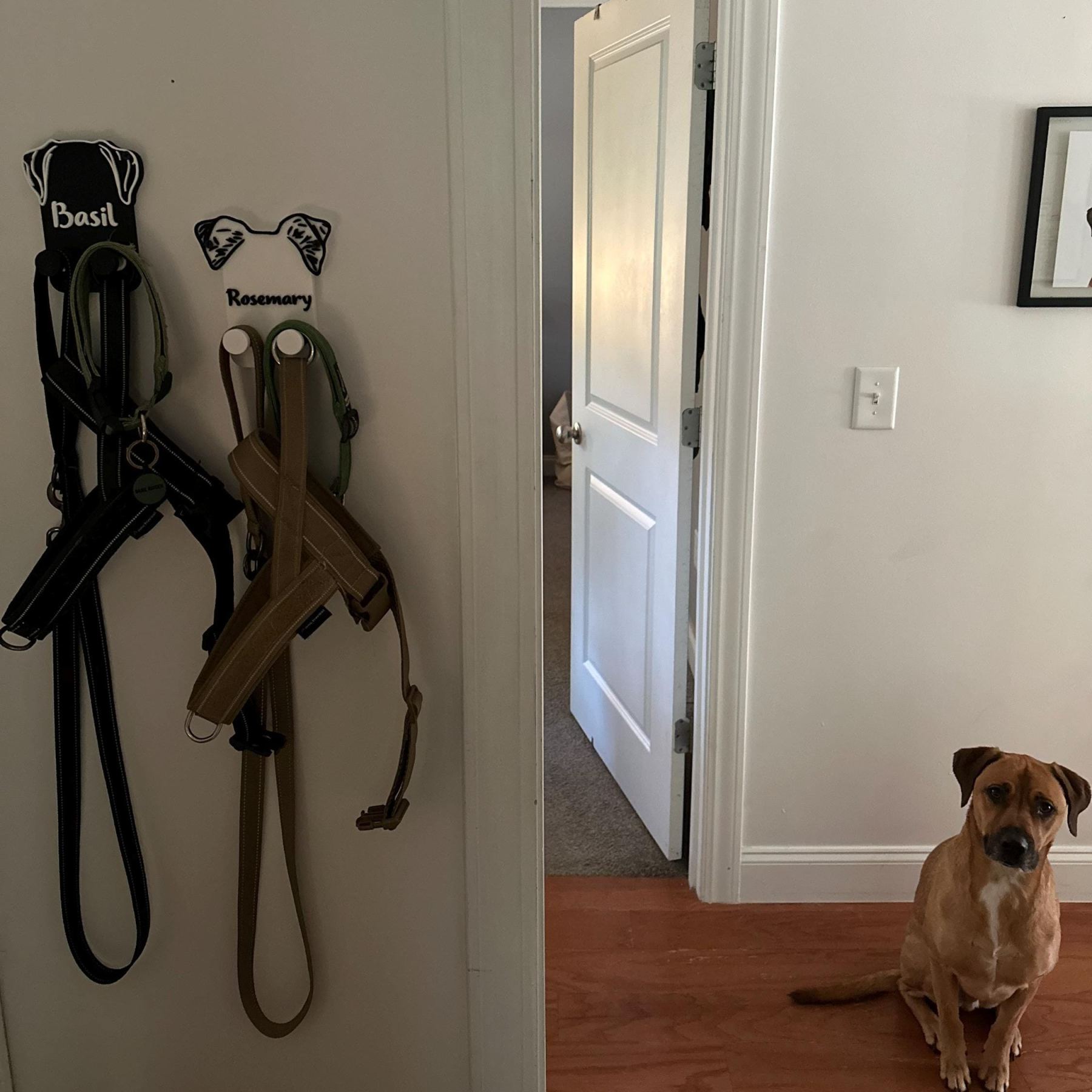 Personalized Leash & Collar Hanger Dog Leash Hanger for Wall | BKPet402