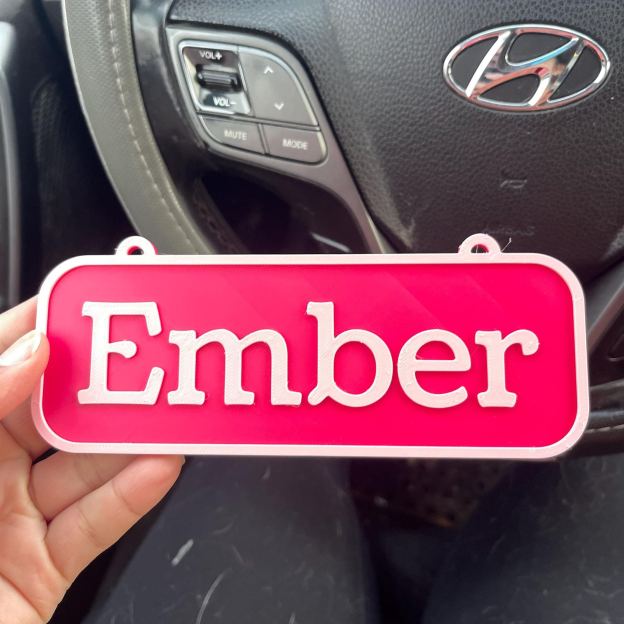 Personalized 3D Printed Dog Name Crate Sign | BKPet410