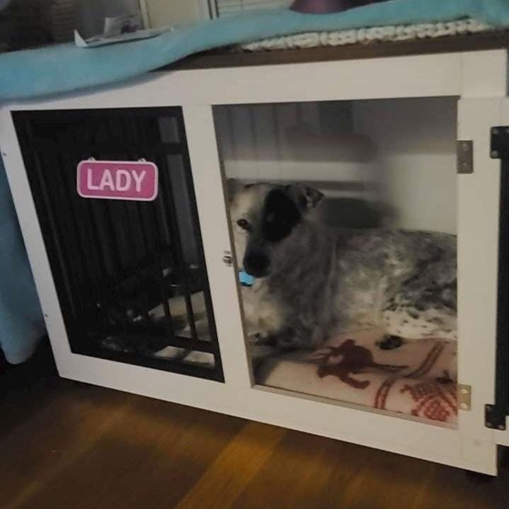 Personalized 3D Printed Dog Name Crate Sign | BKPet410