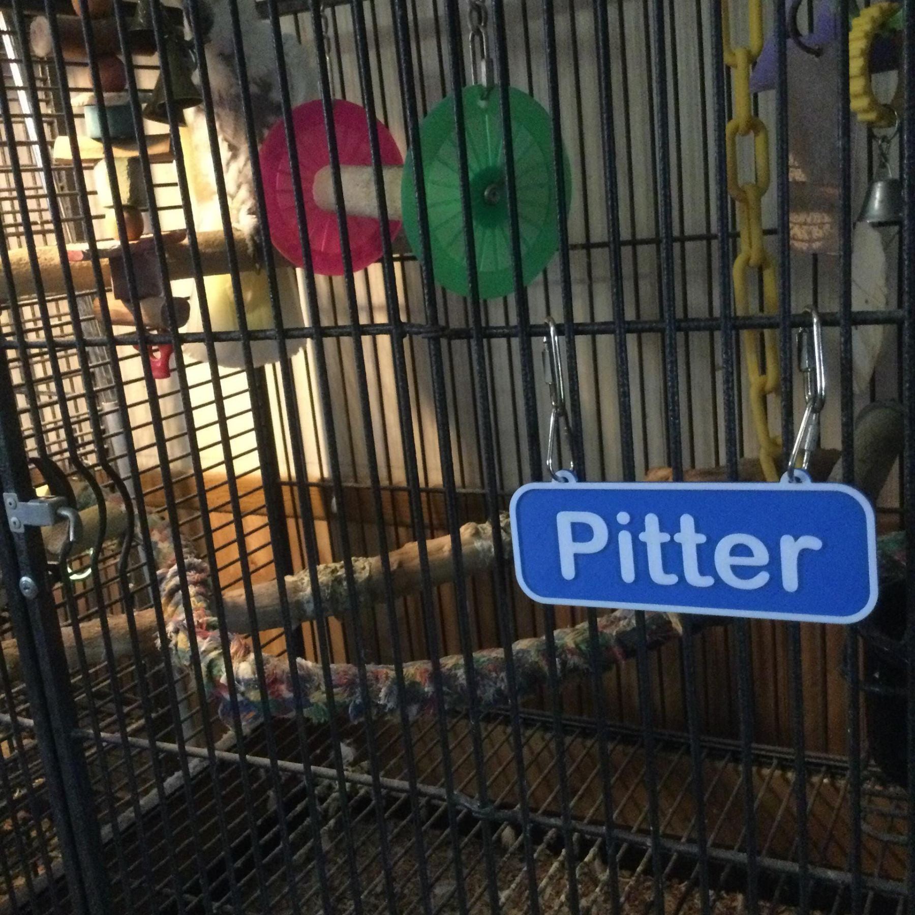 Personalized 3D Printed Dog Name Crate Sign | BKPet410