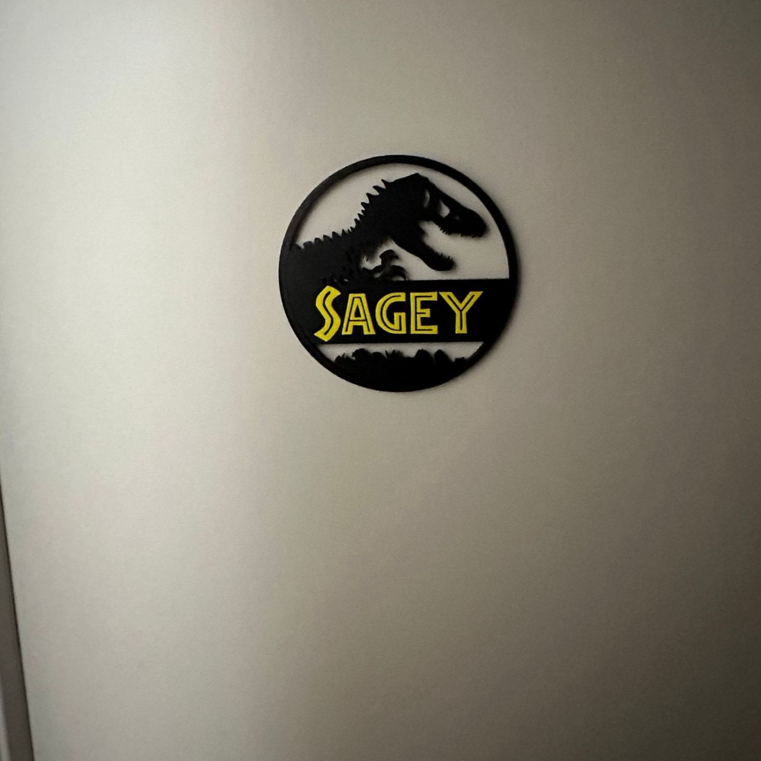 Personalized Kid's Bedroom Dinosaur Door Sign | CWBaby423