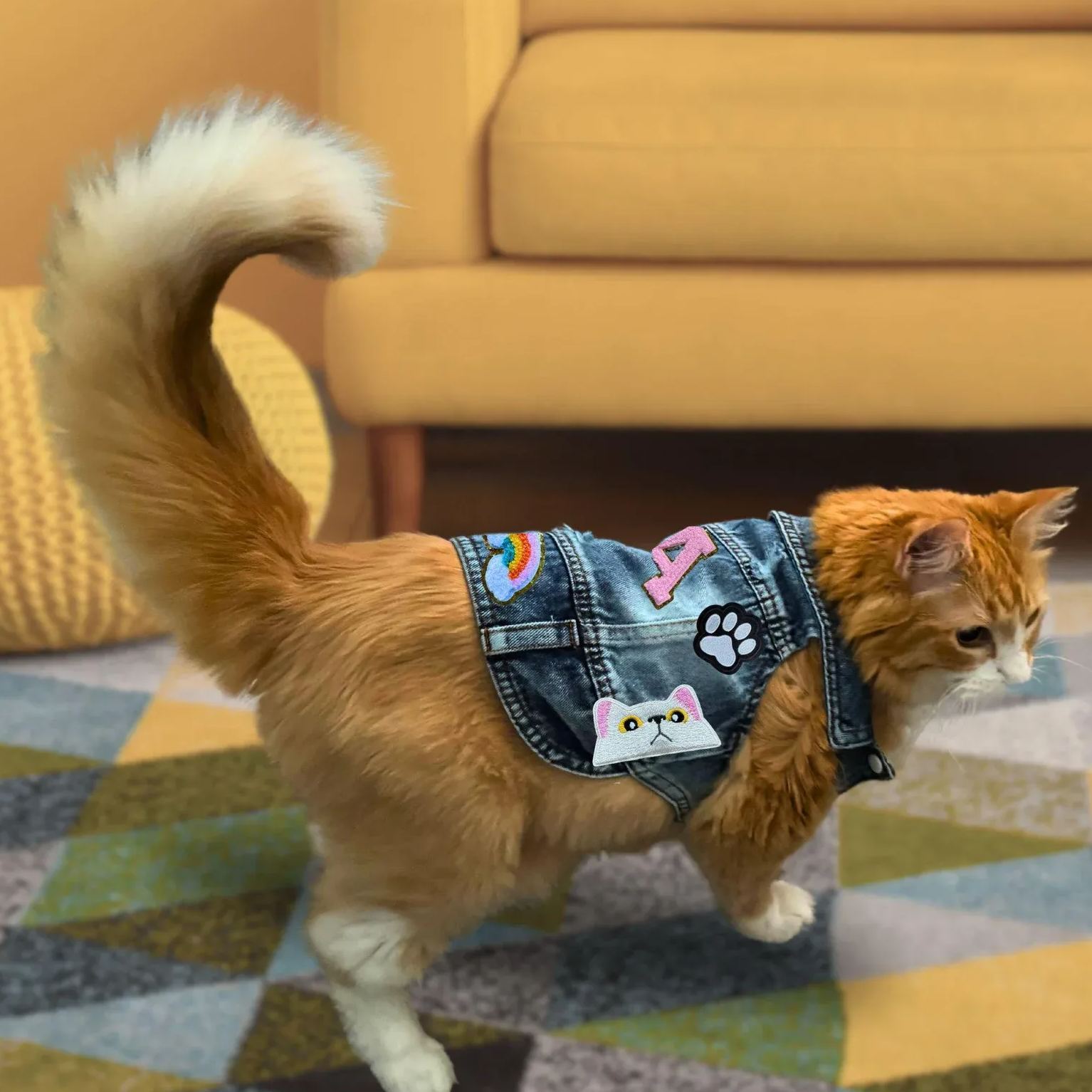 Personalized Hand Patch Pets Denim Jacket for Comfort and Unique | BKPet26