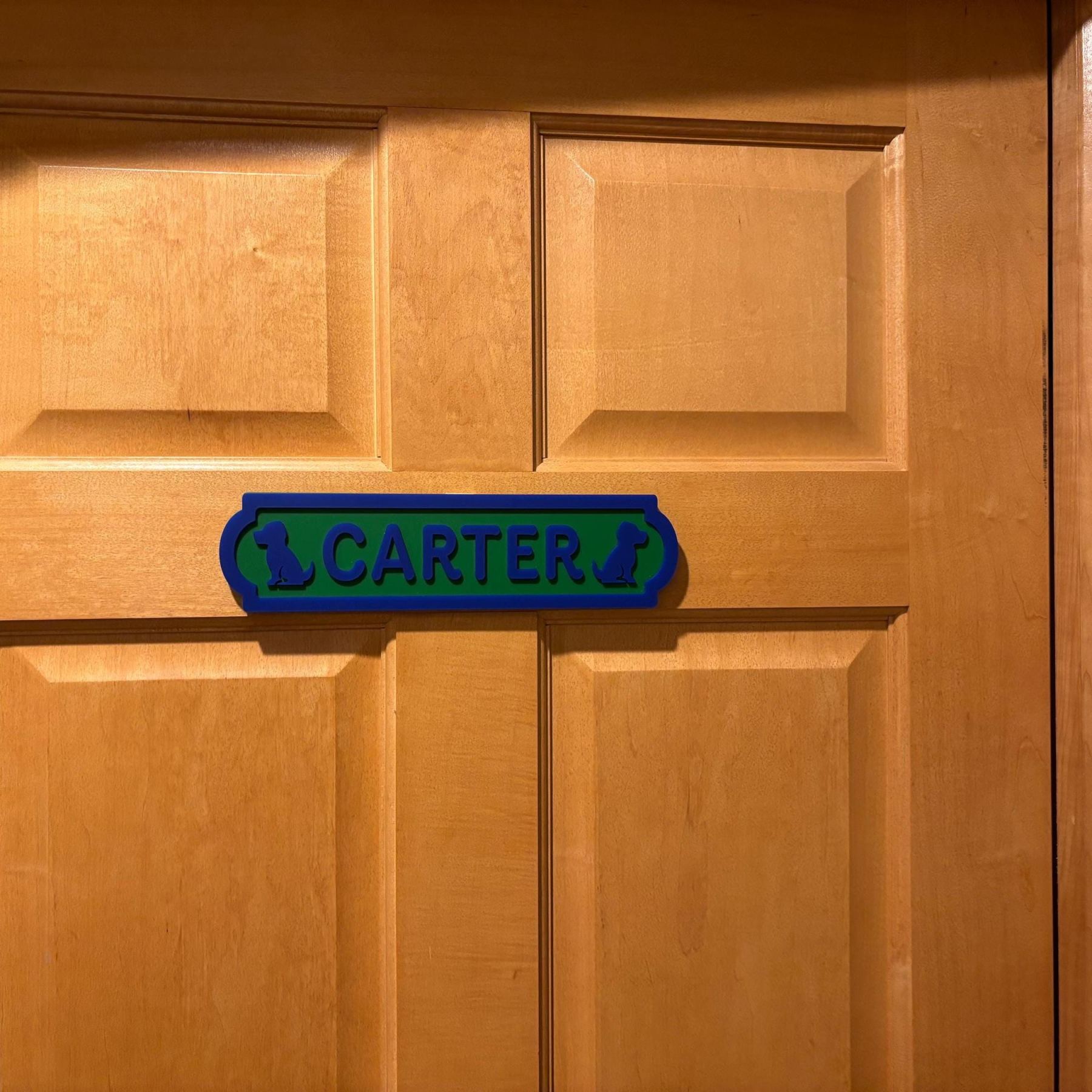 Personalized Kid's Bedroom Decoration Door Sign | CWBaby438