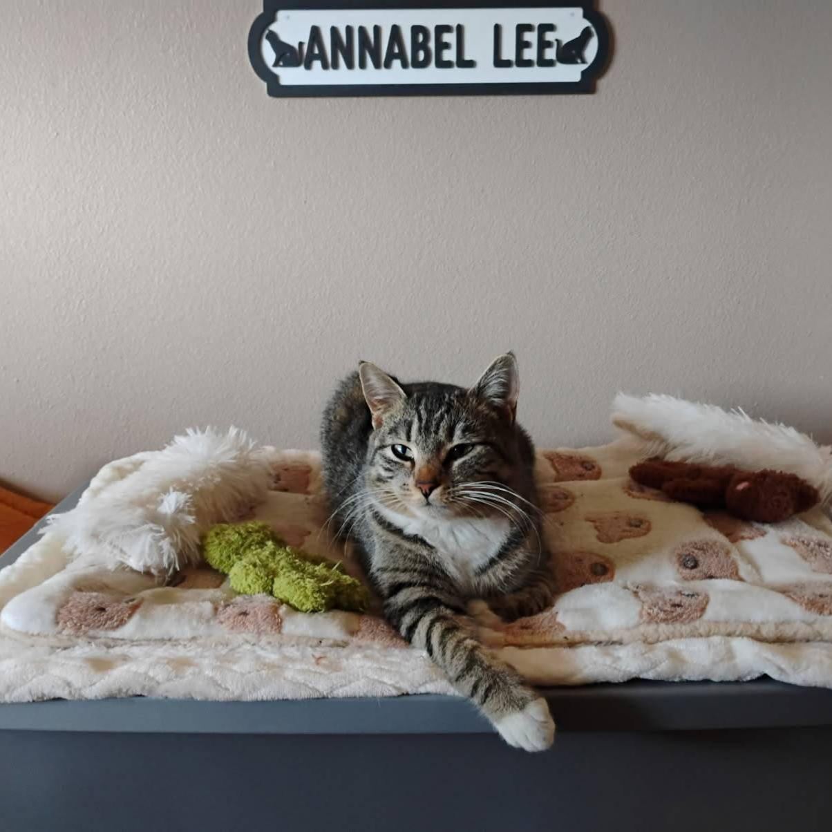 Personalized Kid's Bedroom Decoration Door Sign | CWBaby438