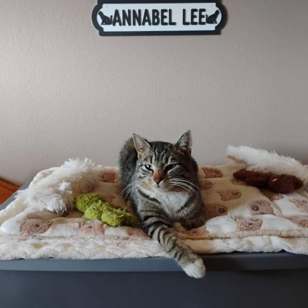 Personalized Kid's Bedroom Decoration Door Sign | CWBaby438