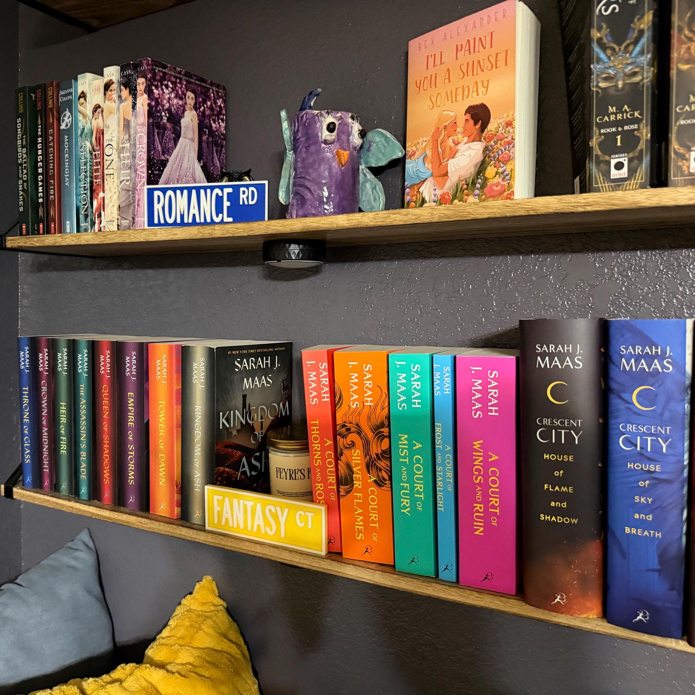 Personalized 3D Printed Bookshelf Library Street Sign | CWGift34