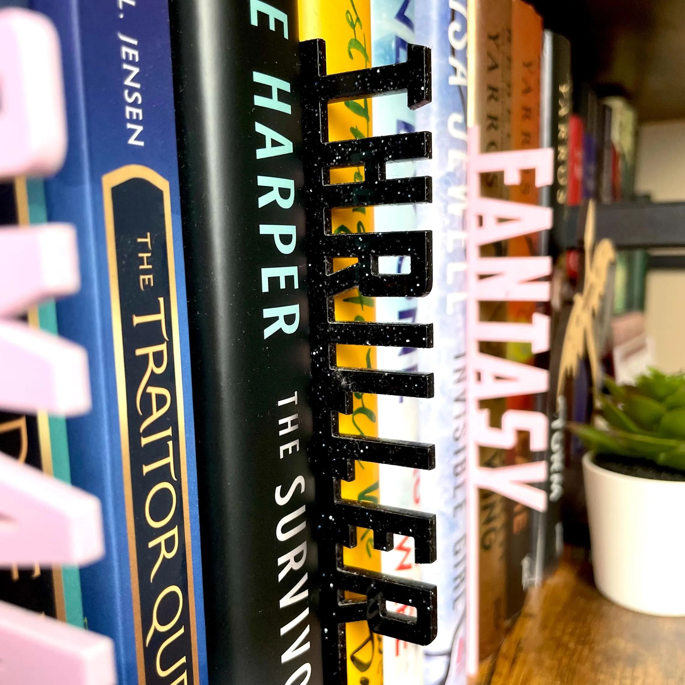 Personalized 3D Printed Book Genre Wall Decor Sign | CWGift35