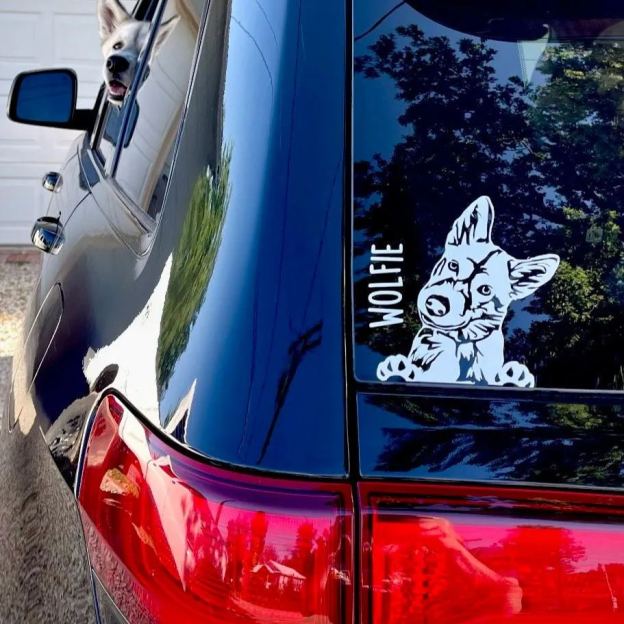 Personalized Adorable Pet Portrait Vinyl Decal | BKPet422