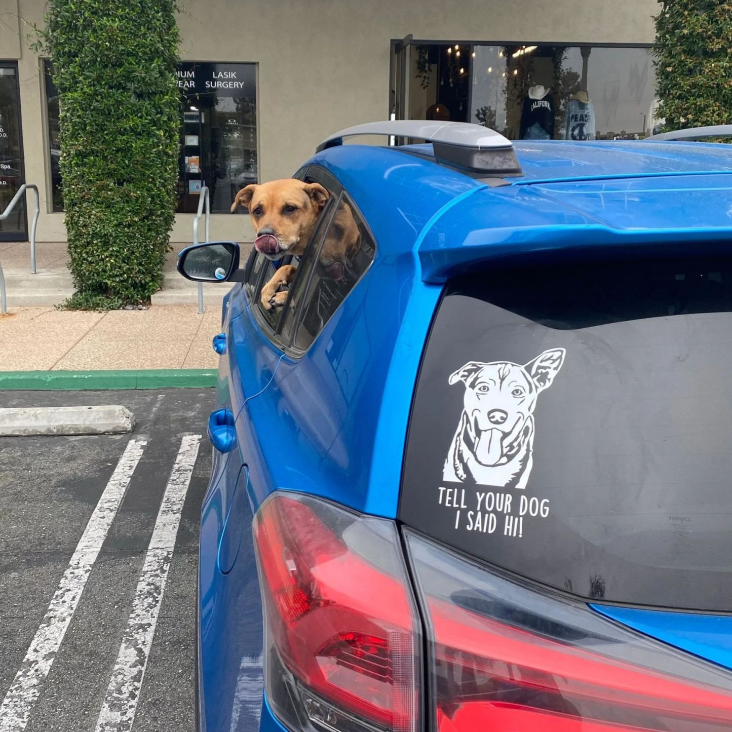 Personalized Adorable Pet Portrait Vinyl Decal | BKPet422