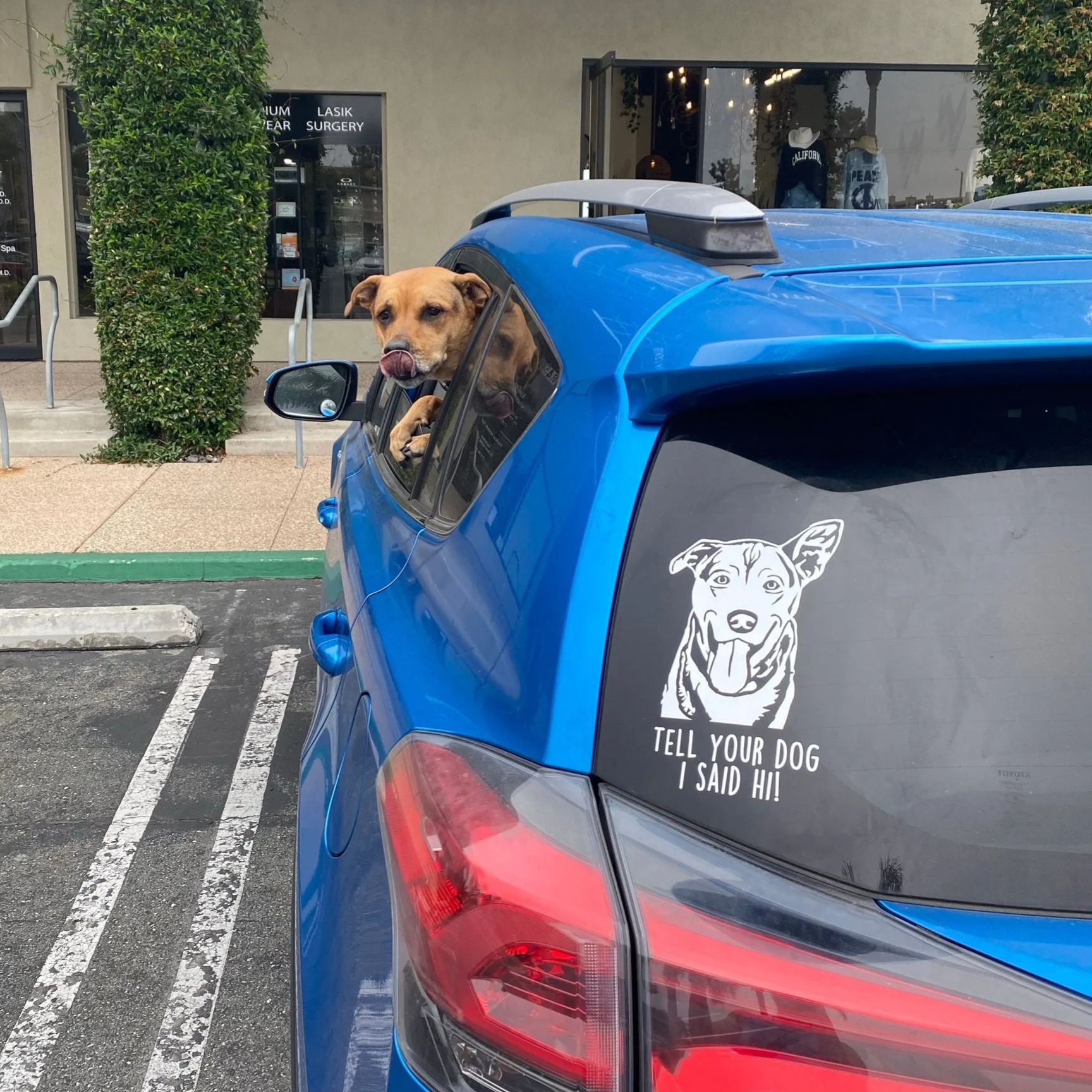 Personalized Adorable Pet Portrait Vinyl Decal | BKPet422