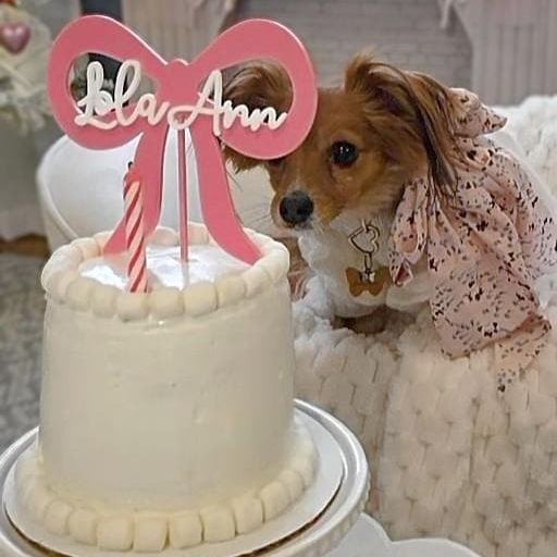 Personalized Birthday Cake Decorations Topper | CWGift40