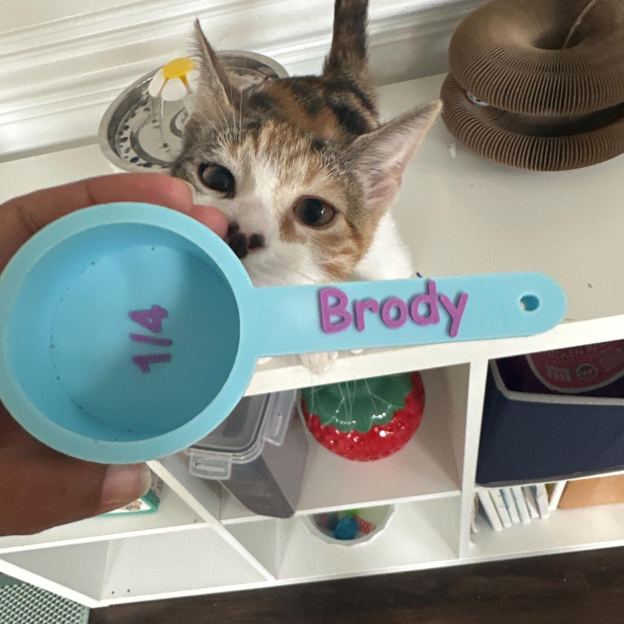 Personalized 3D Printed Pet Measuring Food Scoop Cup | BKPet436